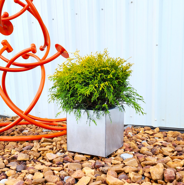 Galvanized Square Metal Planter - 10", 16", or 22" - Zinc Planter Box - Outdoor Planter - Indoor Planter - Cute Planter - Succulent Planter