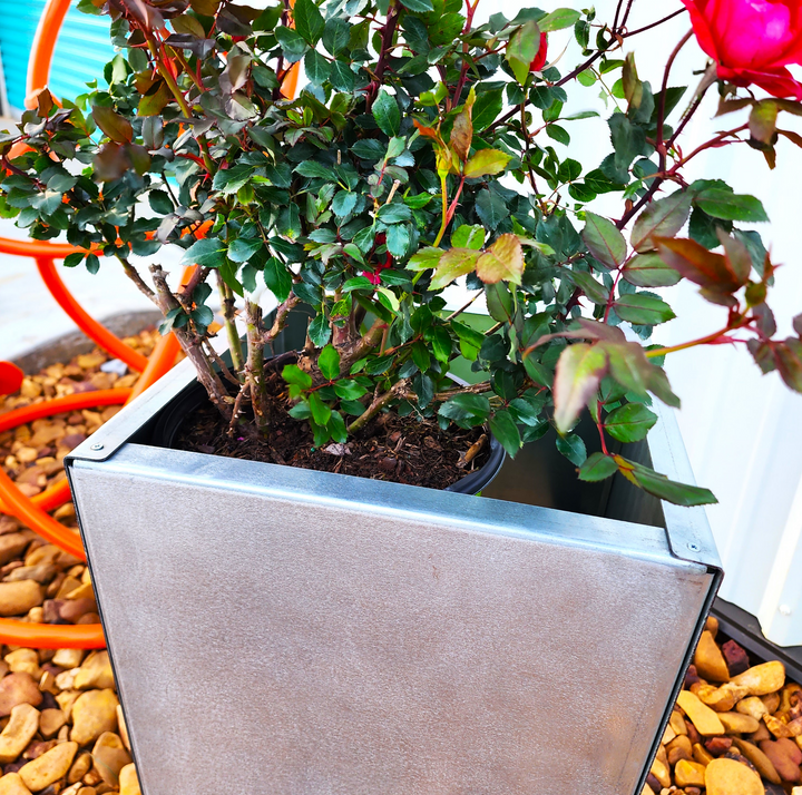 Galvanized Metal Planter - Tall Outdoor Planter - Planter Box - Cute Planter - Indoor Planter - Succulent Planter