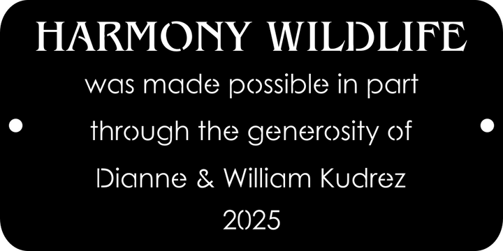 Custom Listing for Anastasia