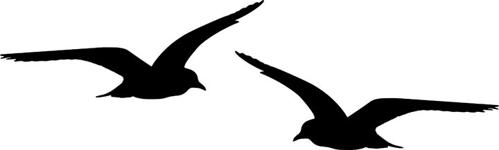 Custom Listing for T.Moore (2 birds)