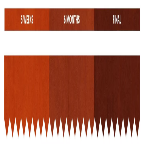 Garden or Lawn Edging Kit, Raised No-Till Garden Kit, Flower Bed Boarder Kit