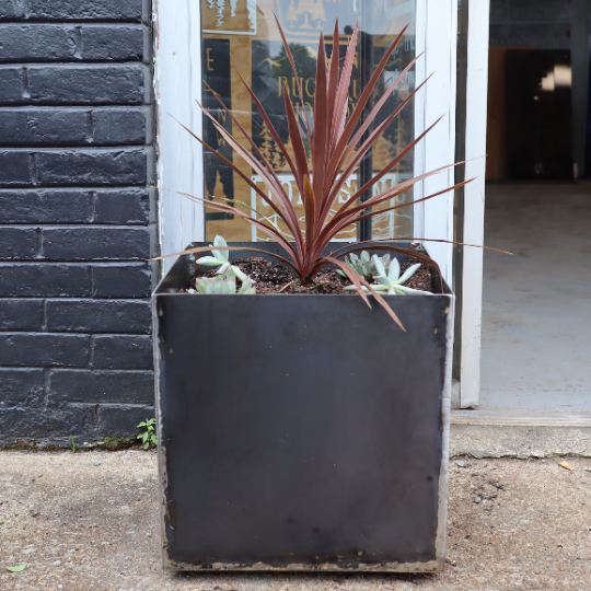 tall skinny planter pots Modern Metal Planters 16" x 16" x 16"