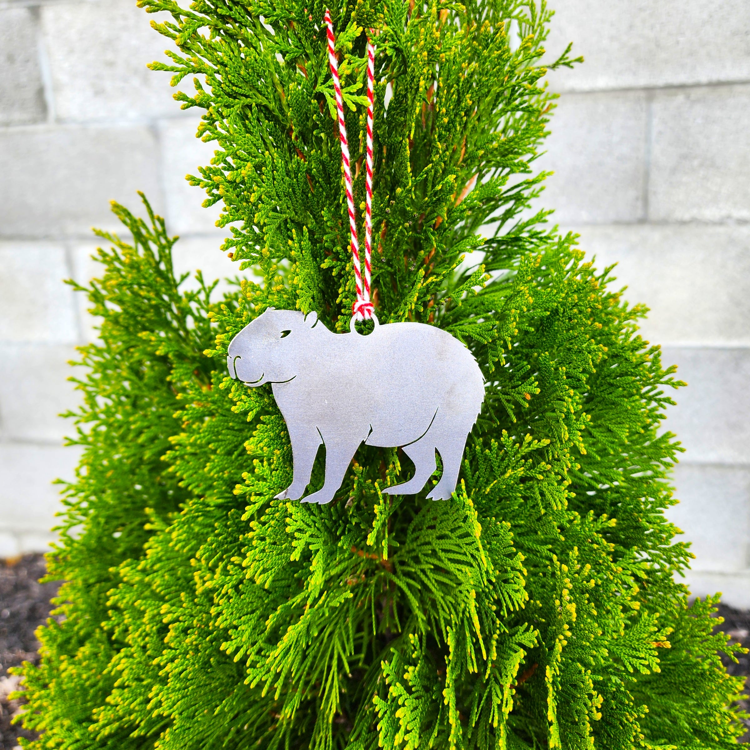 Metallic capybara ornament hanging on a green bush with a white wall background