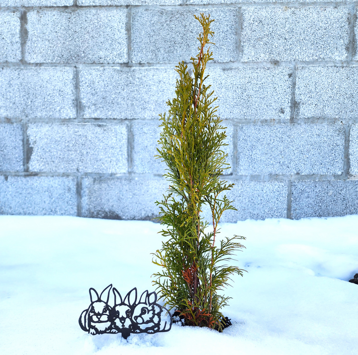 Bunny Garden Stakes