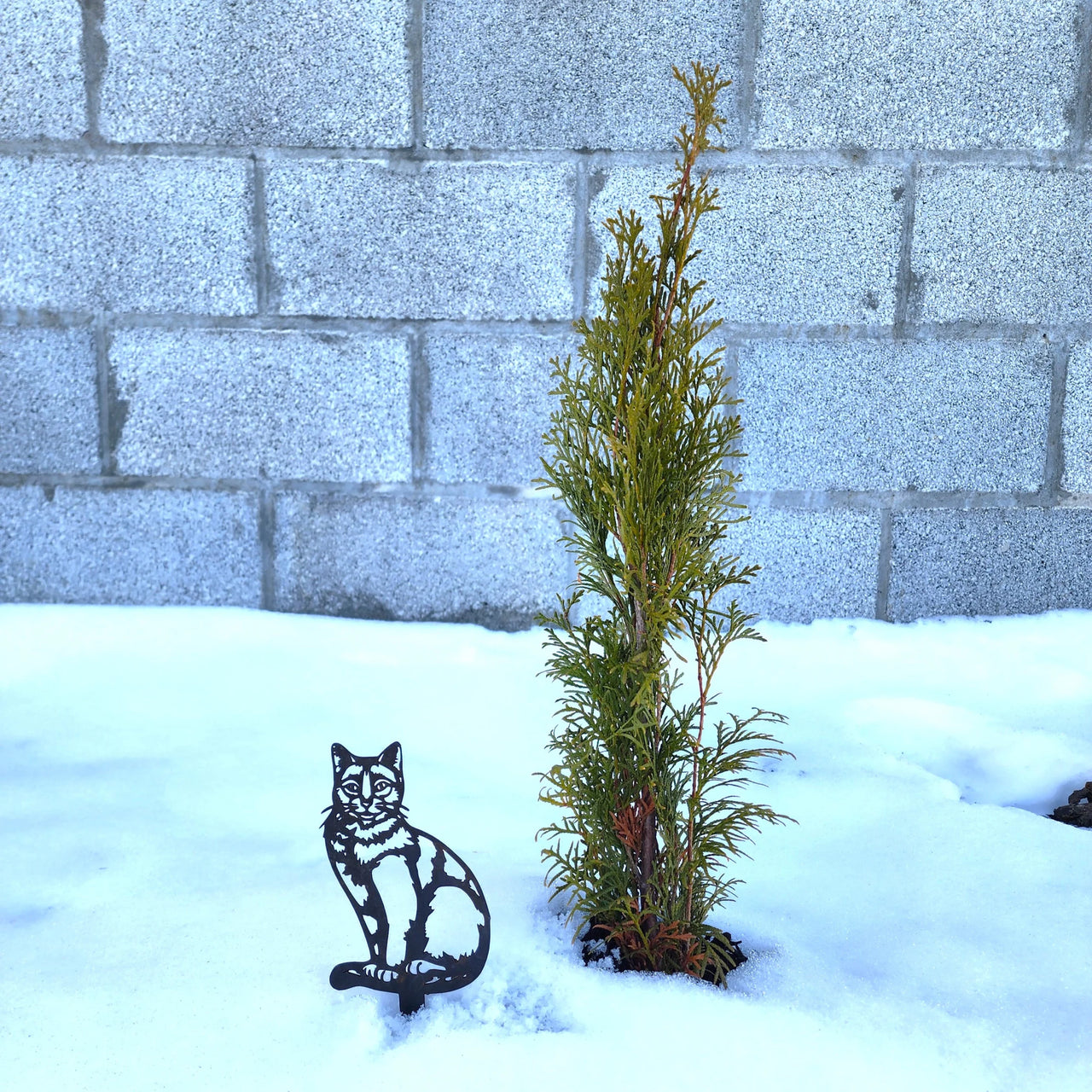 Mini Cat Garden Stake - Garden Decor - Metal Garden Stake - Gift for Her - Desk Accessories - Plant Desk - Indoor Planter Decor