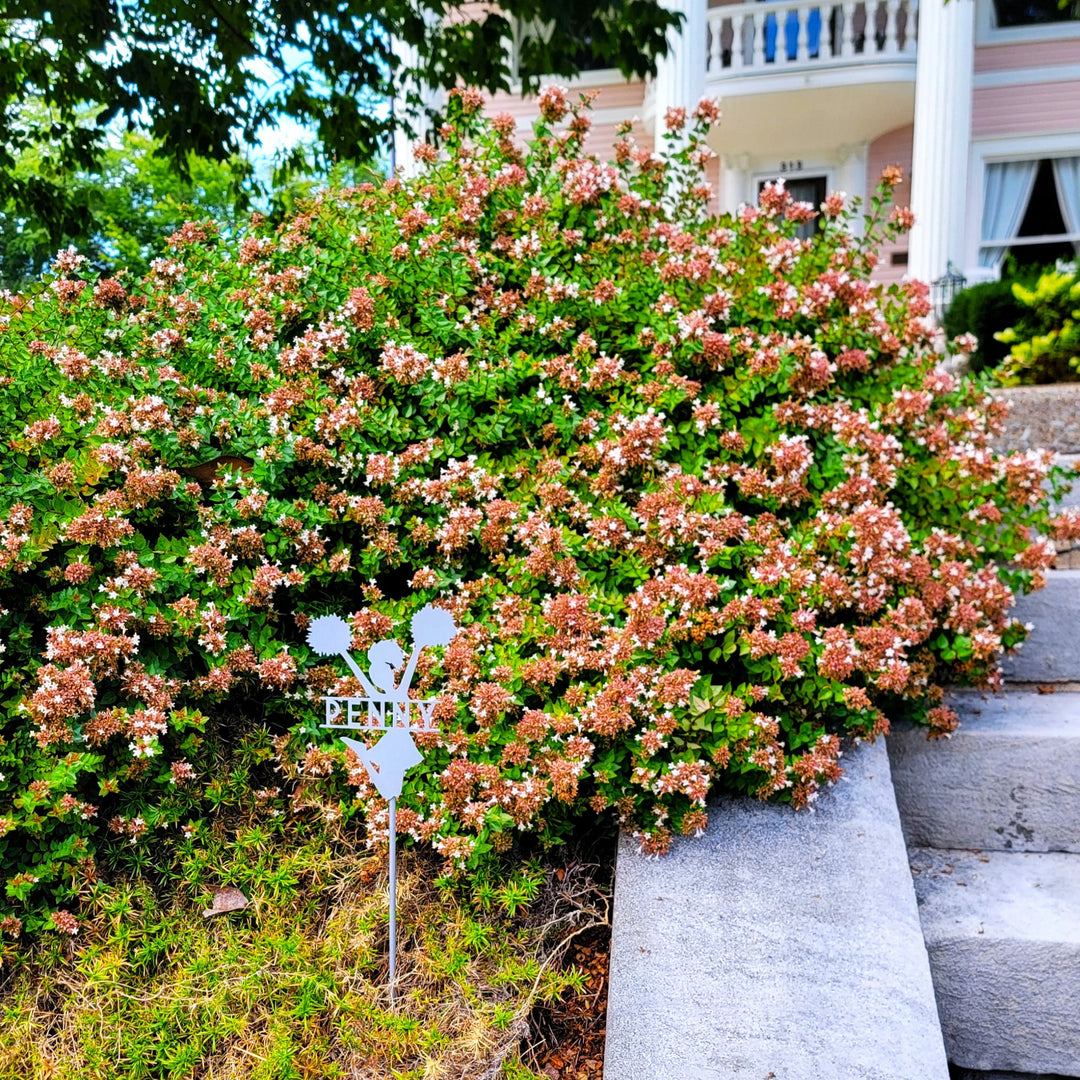 Personalized Cheer Yard Sign