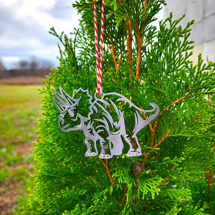 kids dino ornament for Christmas trees