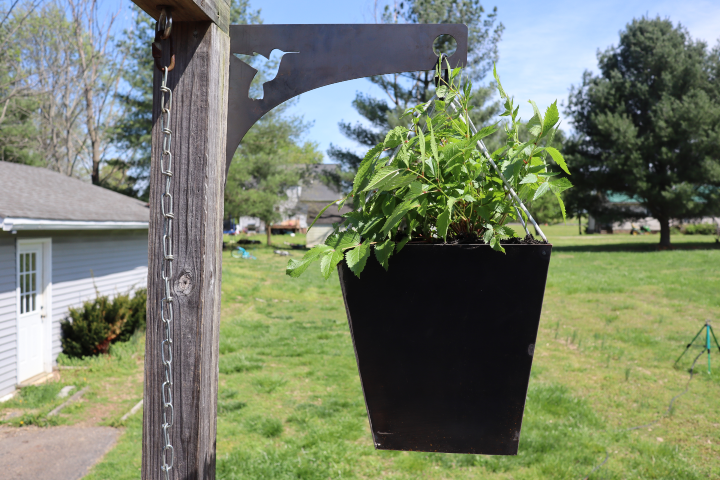 hanging plant brackets outdoor Metal Hanging Planter Bracket with Humming Bird Design for Hanging Plants