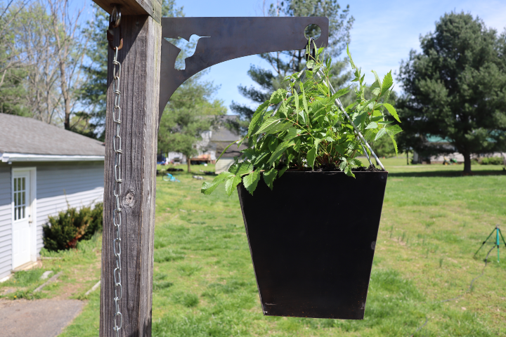 Metal Hummingbird and Flower Garden Stake - Steel Gardening Decor