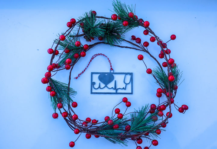Health Care Worker Love Christmas Ornament - Holiday Stocking Stuffer Gift - Tree Home Decor