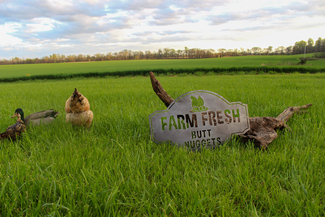 Farm Fresh Butt Nuggets - Custom Metal Farm Sign - Funny Chicken Coop Metal Sign - Cute Homestead Decor - Farmhouse Wall Art
