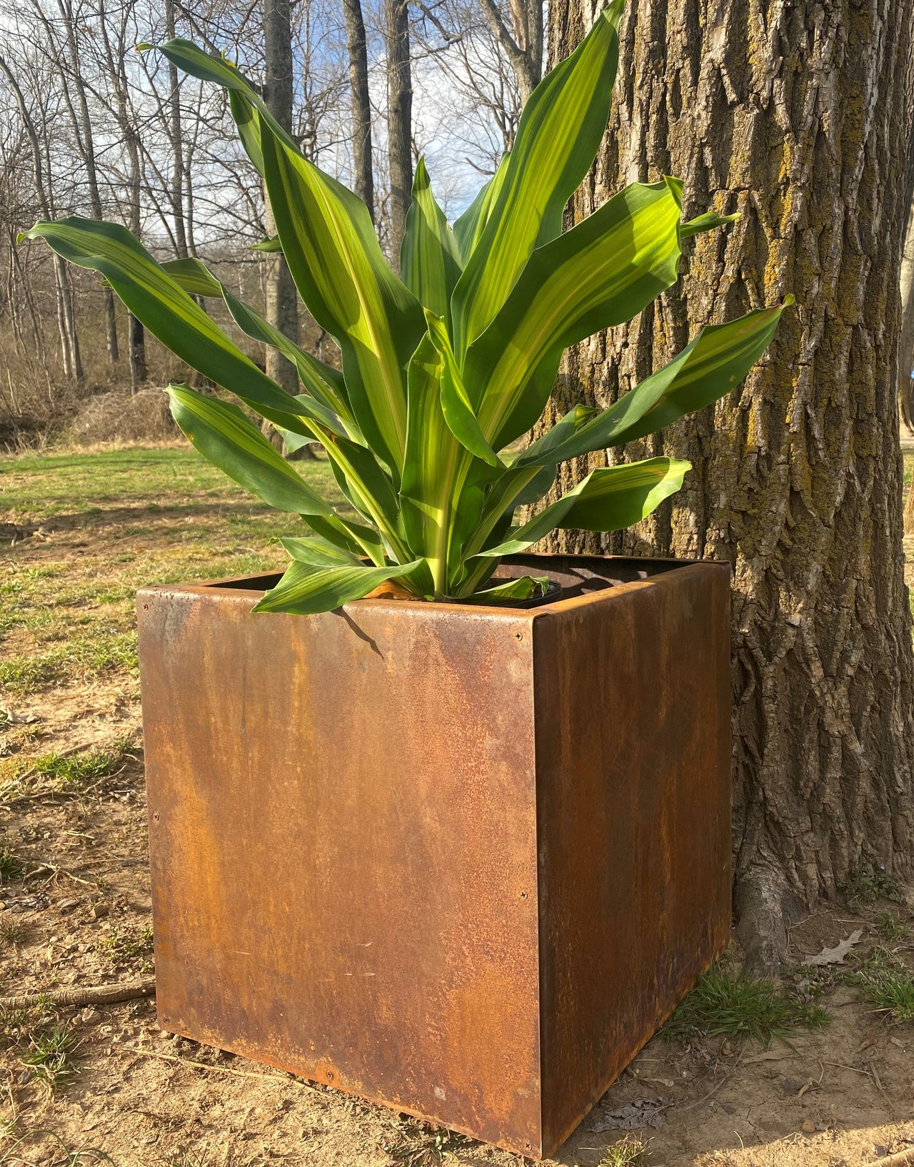 Wholesale Square Metal Planter - 3 Sizes 10" 16" & 22" Large Planter - Planter Pot - Raw Steel With Natural Rusty Patina - Minimalist