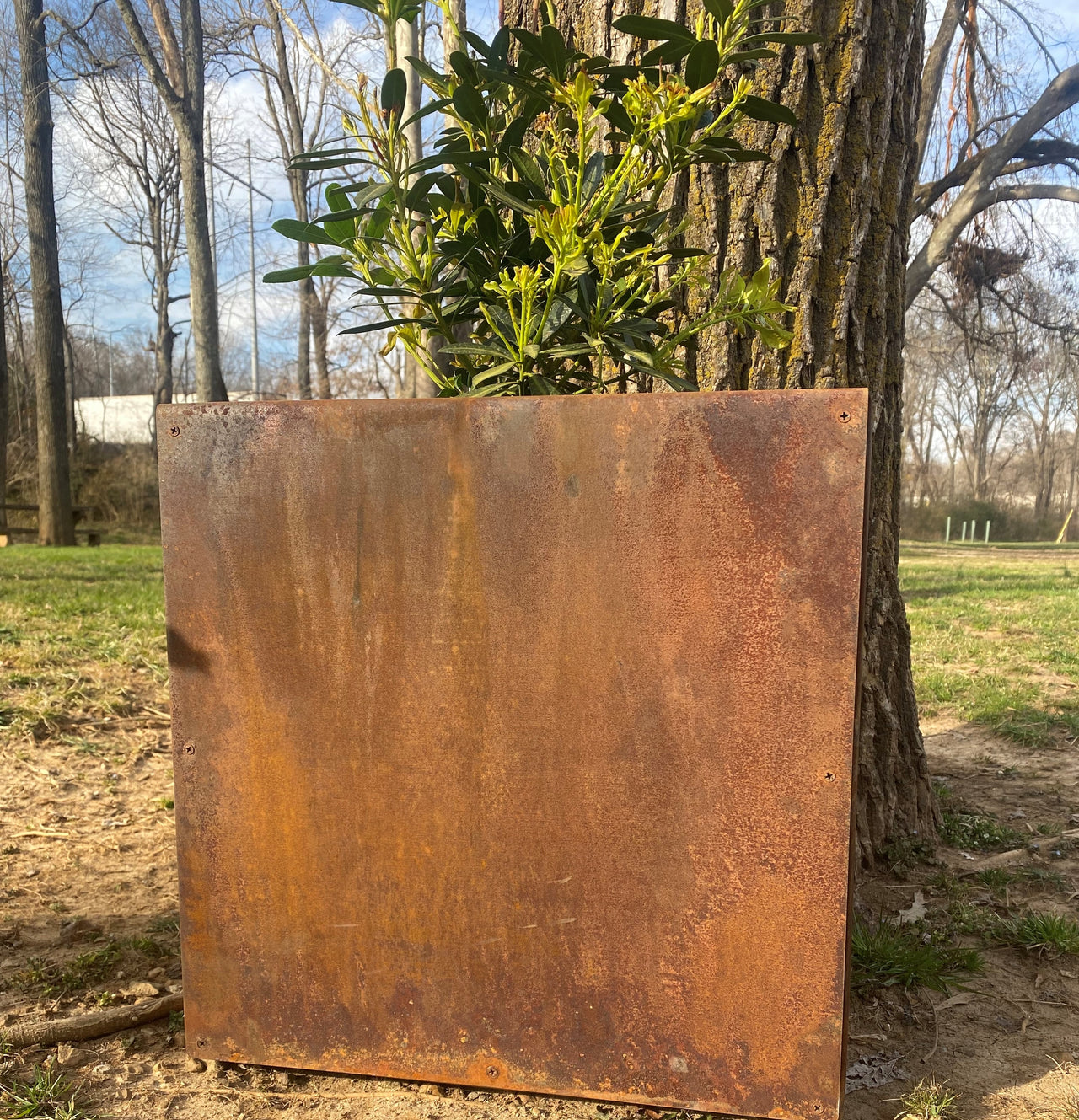 Wholesale Square Metal Planter - 3 Sizes 10" 16" & 22" Large Planter - Planter Pot - Raw Steel With Natural Rusty Patina - Minimalist