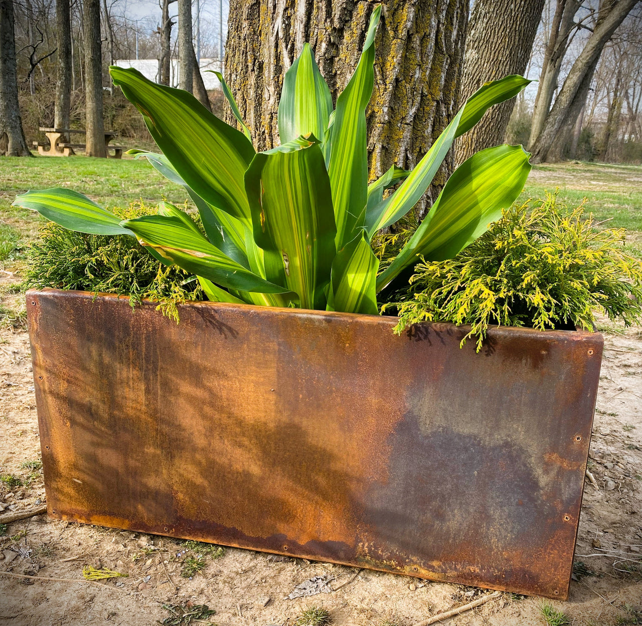 Wholesale Metal Trough Planter - Medium Rectangular Planter - 14" Deep Spring Annual Planter Pot - Raw Steel With Natural Rusty Patina