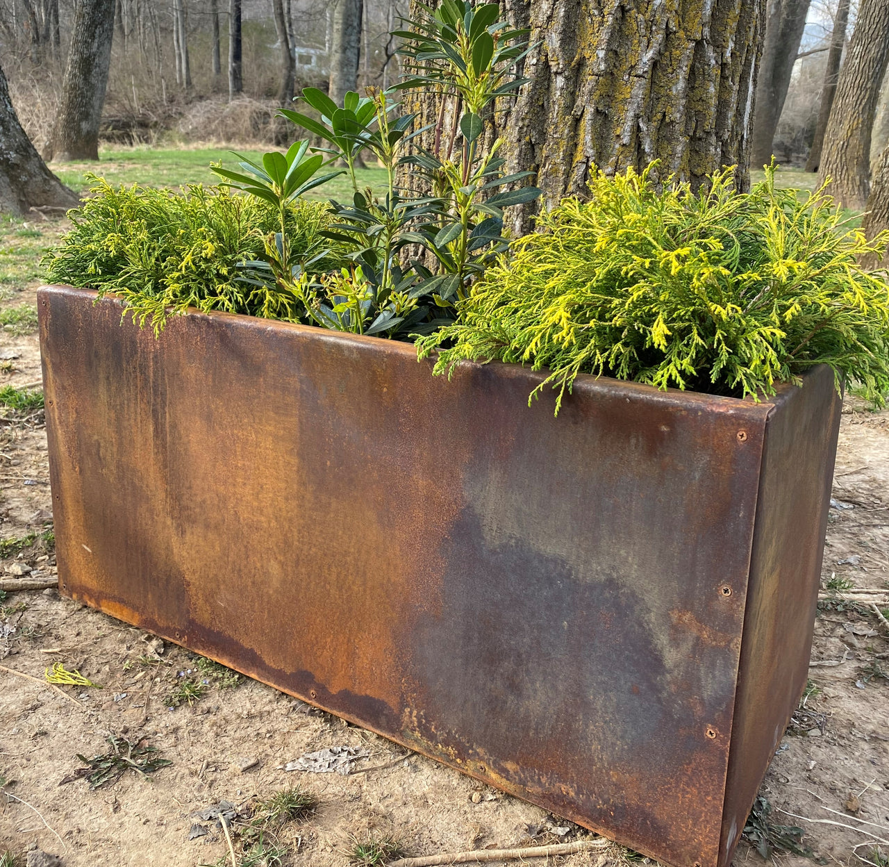 Metal Trough Planter - Medium Rectangular Planter - 14" Deep Spring Annual Planter Pot - Raw Steel Will Develop Natural Rusty Patina