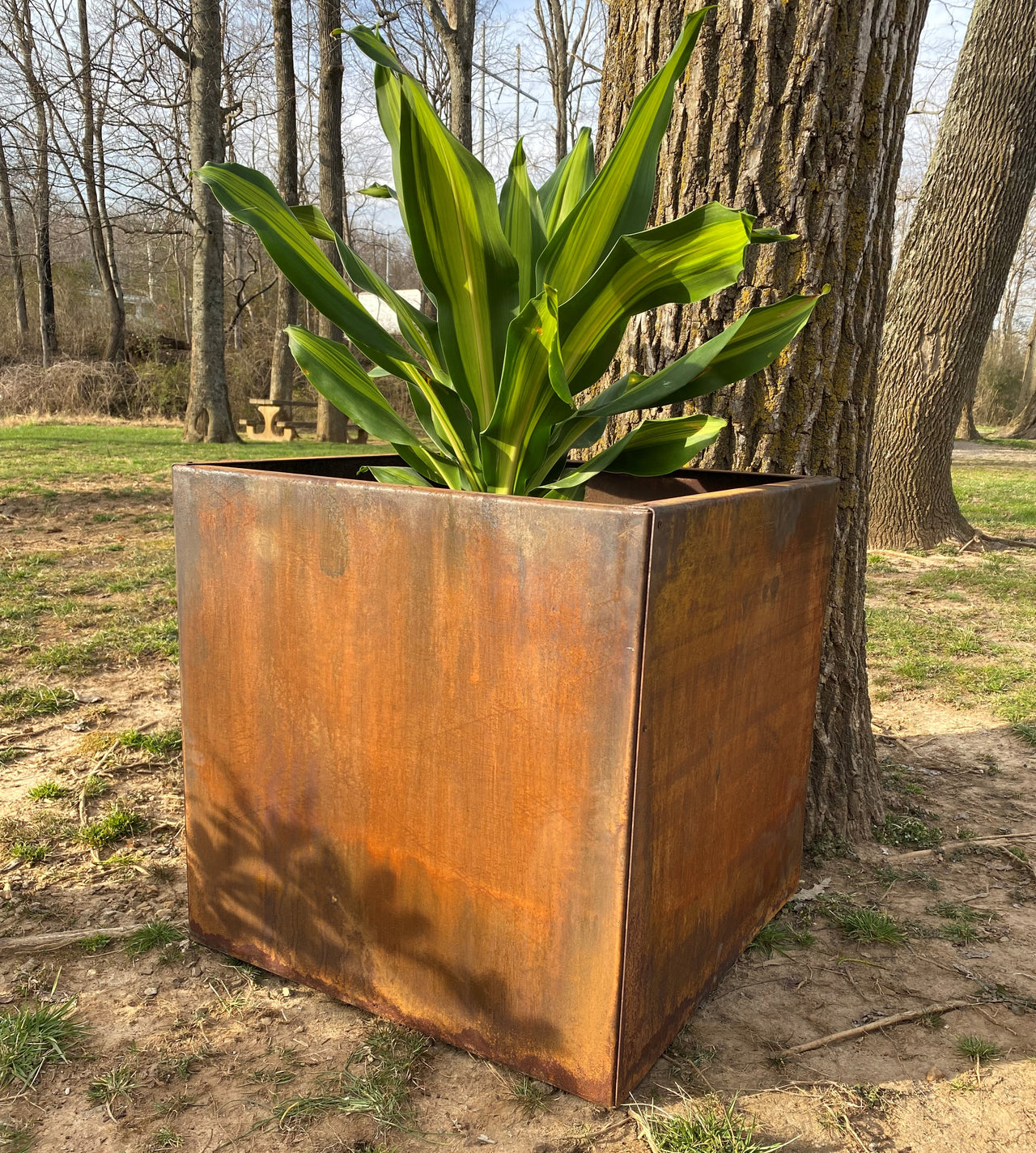 Square Metal Planter - 10" x 10" ,16" x 16" or 22" x 22" Large Planter - Planter Pot - Raw Steel Will Develop Natural Rusty Patina - Minimalist