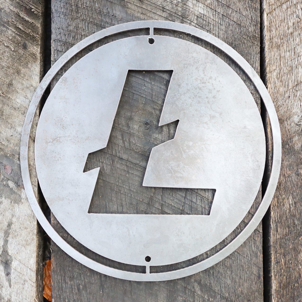Metal Litecoin Shop Sign - Steel Cryptocurrency Business Decor - Custom Size Crypto Bitcoin Altcoin