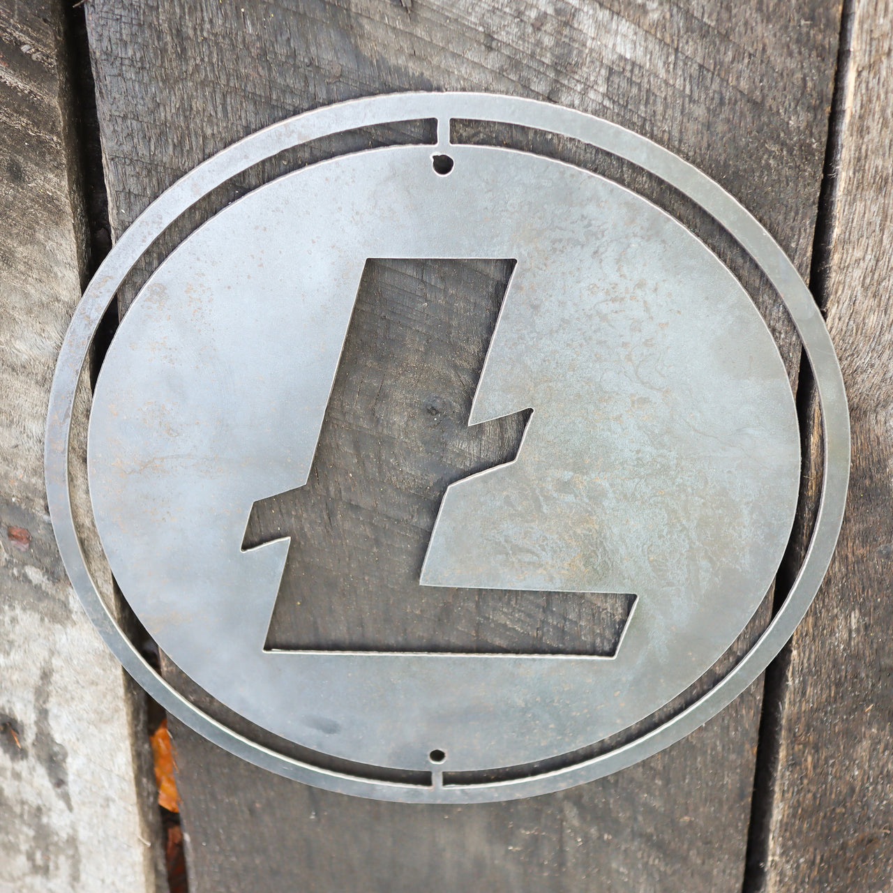 Metal Litecoin Shop Sign - Steel Cryptocurrency Business Decor - Custom Size Crypto Bitcoin Altcoin
