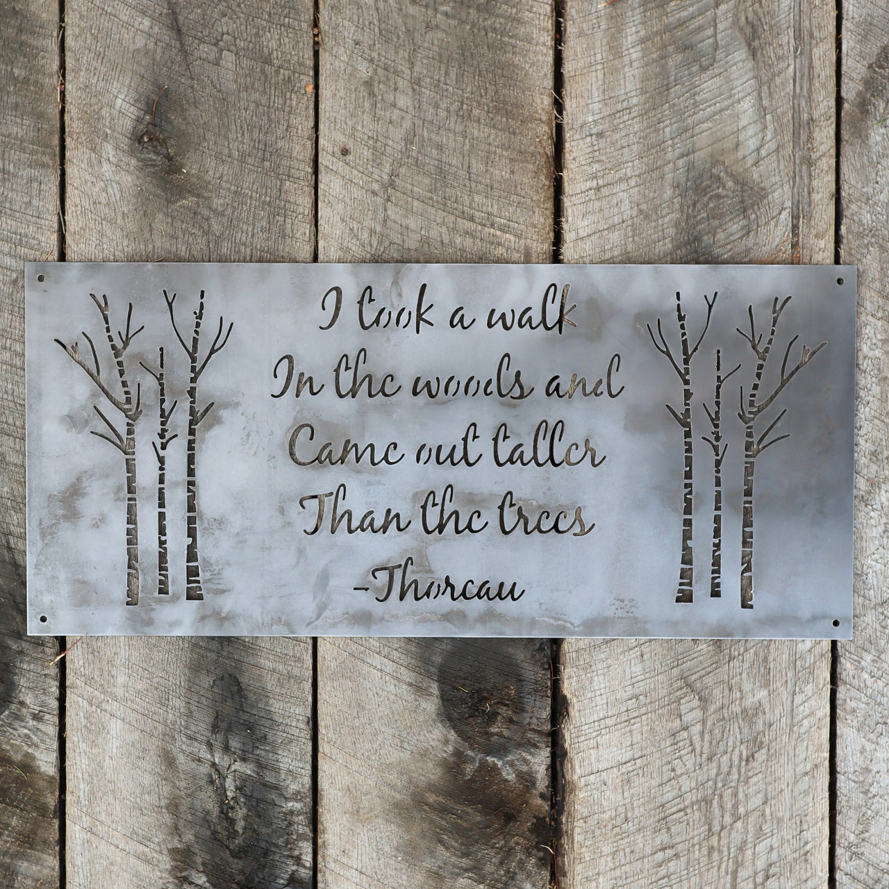 I Took a Walk in the Woods Metal Sign - Rustic Wilderness Cabin Decor - Henry David Thoreau Quote Wanderlust Wall Art