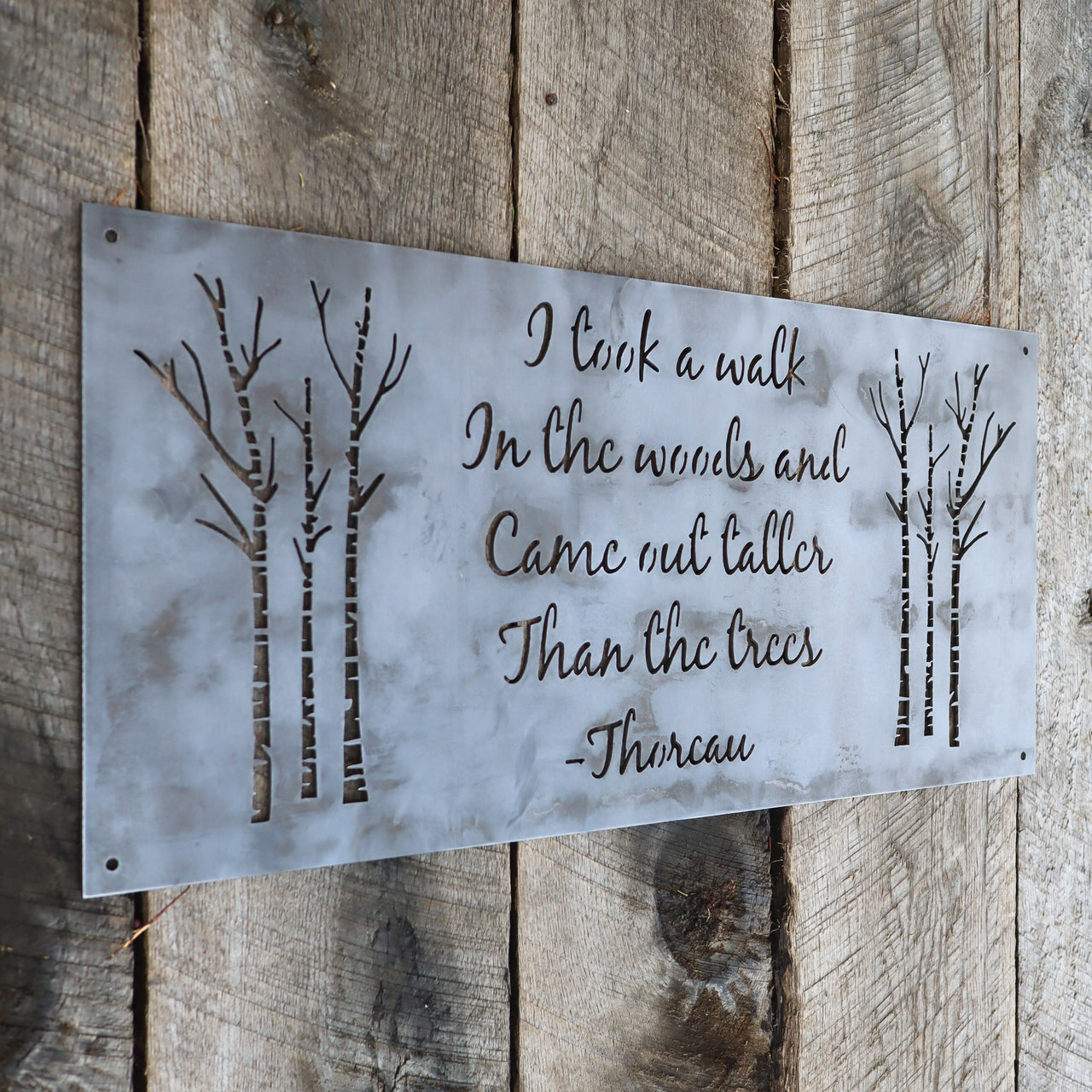 I Took a Walk in the Woods Metal Sign - Rustic Wilderness Cabin Decor - Henry David Thoreau Quote Wanderlust Wall Art
