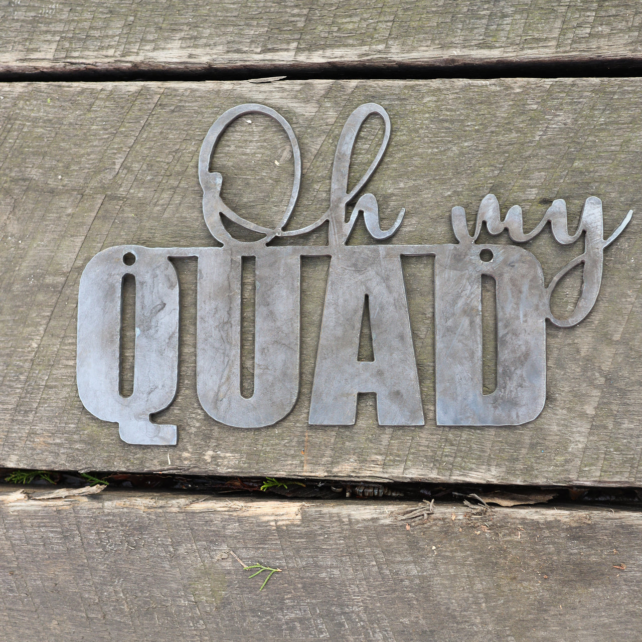 Oh my Quad! Wall Art - Home Gym Decor - Workout Inspiration Metal Sign - Fitness Quote Decor