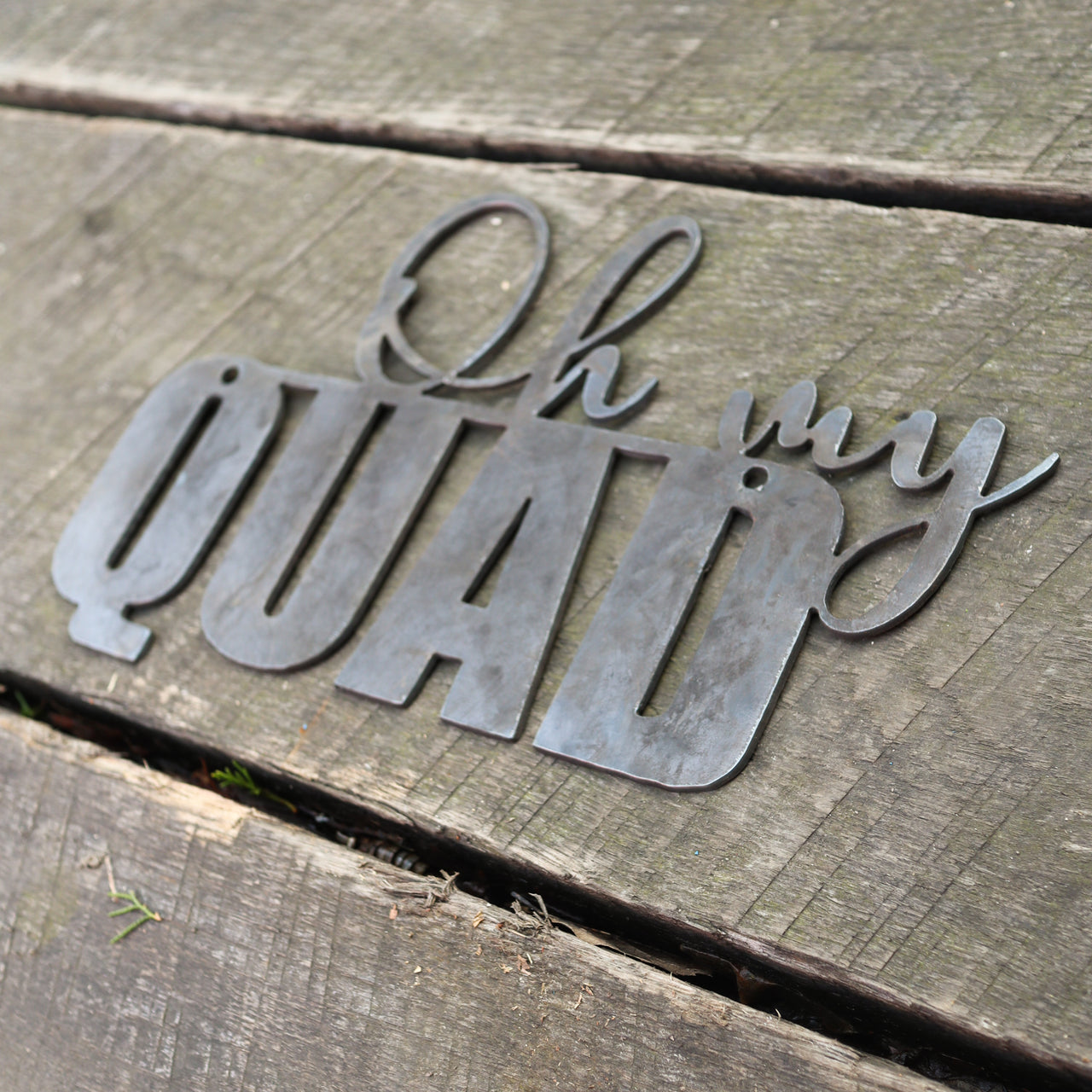 Oh my Quad! Wall Art - Home Gym Decor - Workout Inspiration Metal Sign –  Maker Table