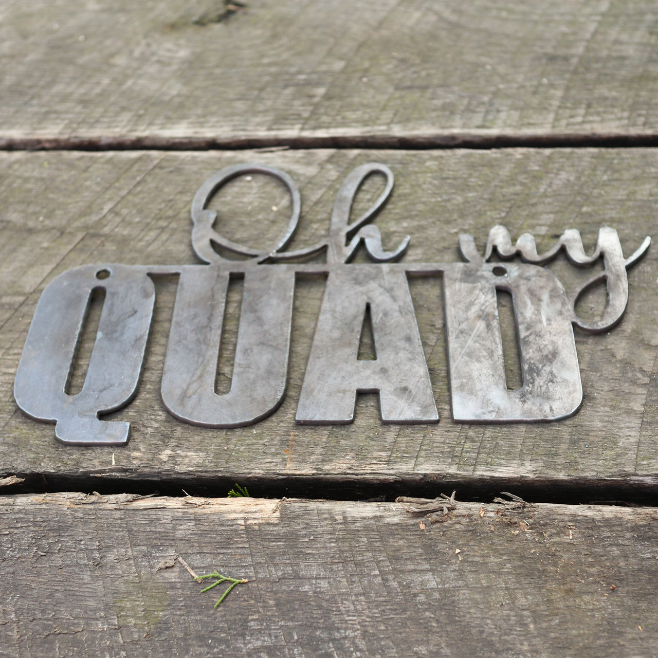 Oh my Quad! Wall Art - Home Gym Decor - Workout Inspiration Metal Sign - Fitness Quote Decor