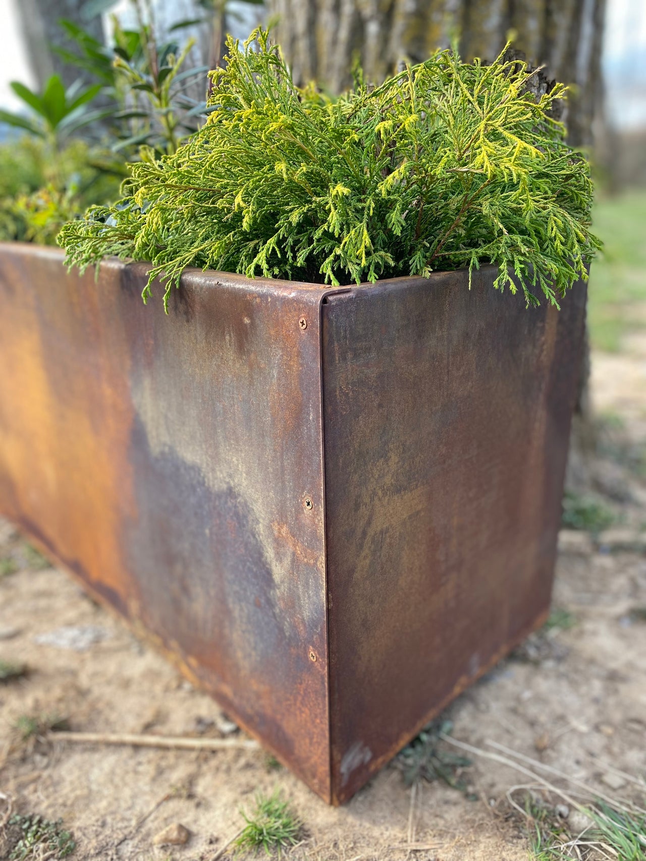 Metal Trough Planter - Medium Rectangular Planter - 14" Deep Spring Annual Planter Pot - Raw Steel Will Develop Natural Rusty Patina