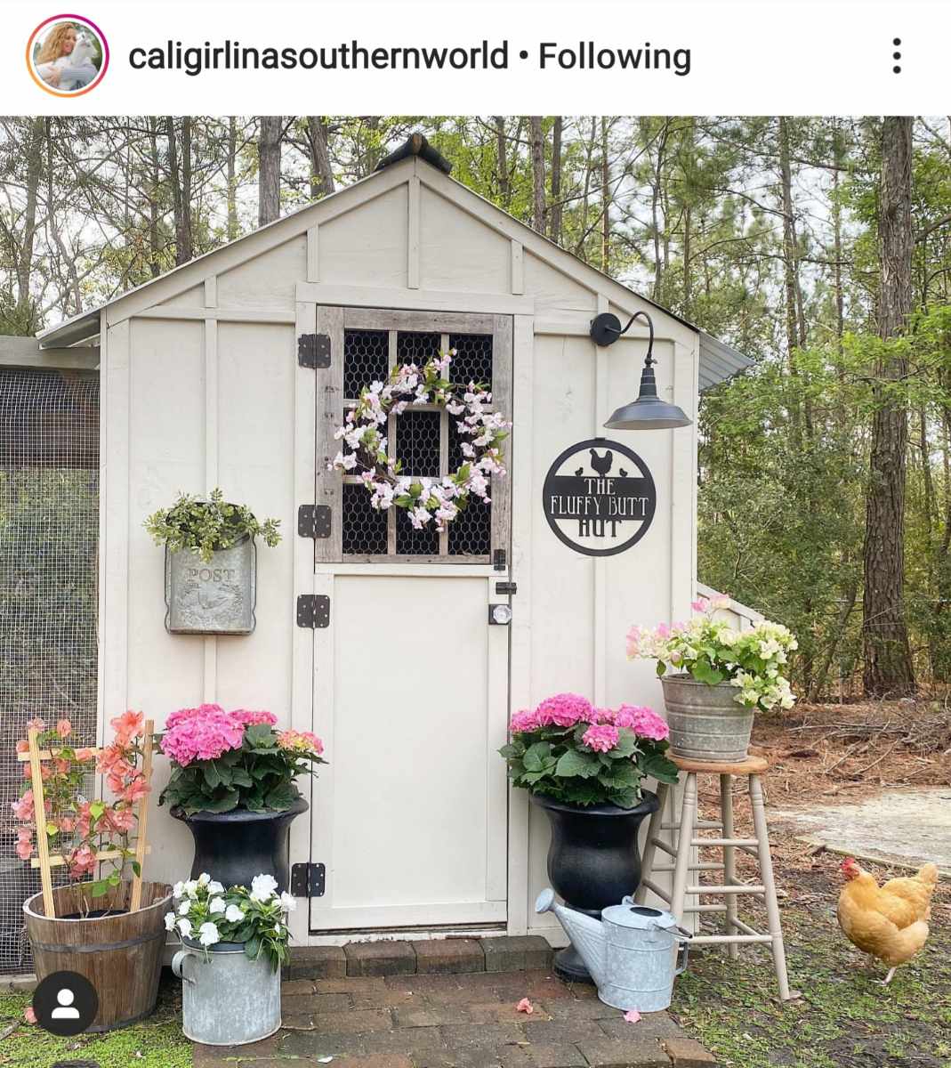 Rustic Chicken Coop Sign - Fluffy Butt Hut - Garden Sign - Personalized Farmhouse Decor