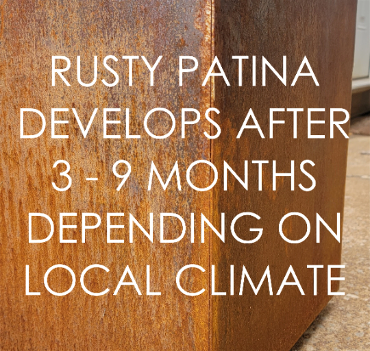 Metal Trough Planter - Extra Large Rectangular Planter - Perennial Planter Pot - Raw Steel Will Develop Natural Rust Patina - Minimalist