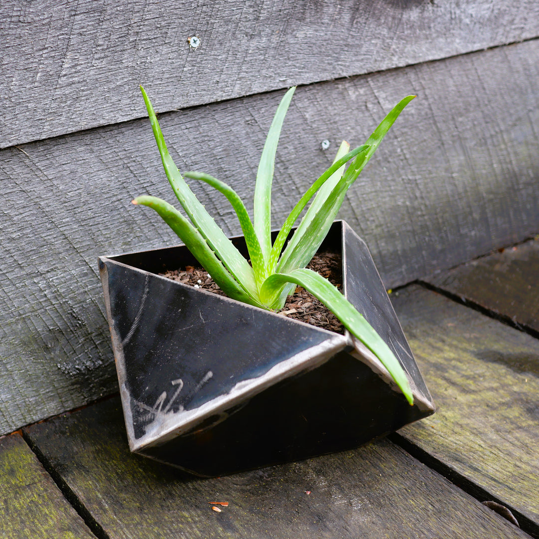 black geometric plant pot Mini Modern Geo Metal Planter - Geometric Faceted Plant Pot - Patio Garden Decor - Modern Minimalist Planter
