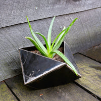 Thumbnail for Mini Modern Geo Metal Planter - Geometric Faceted Plant Pot - Patio Garden Decor - Modern Minimalist Planter - Unique Planter Pot Mini Decor