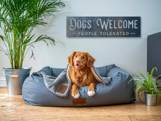 Dogs Welcome, People Tolerated Metal Sign - Dogs Welcome Sign