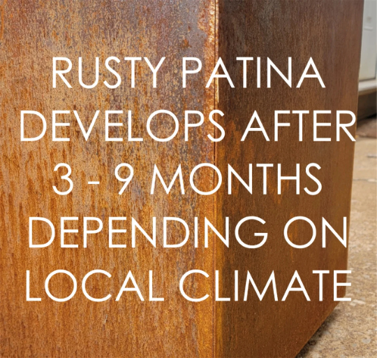 Pedestal Metal Planter - 12" x 12" x 18" Tall Planter - Planter Box - Planter Pot - Raw Steel Will Develop Natural Rusty Patina - Minimalist