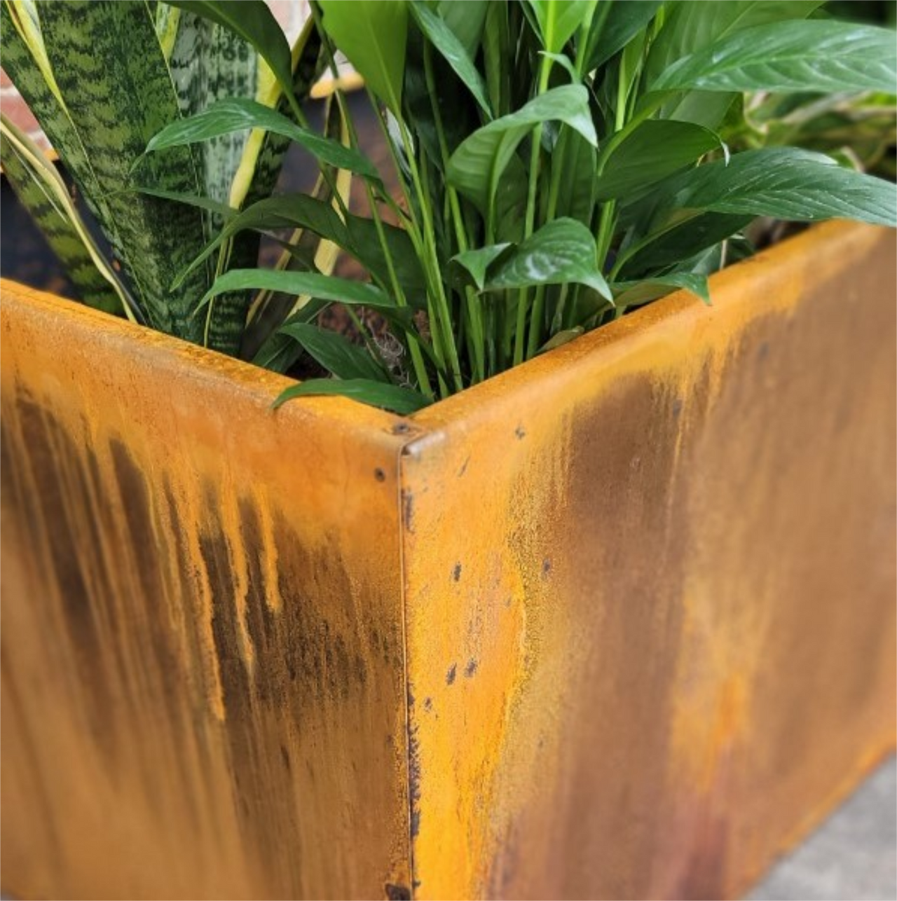 Metal Trough Planter - Extra Large Rectangular Planter - Perennial Planter Pot - Raw Steel Will Develop Natural Rust Patina - Minimalist